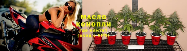 винт Няндома