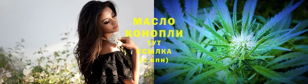 винт Няндома