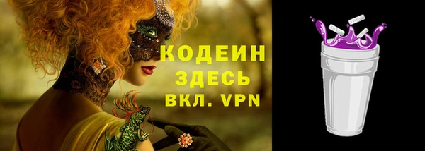 винт Няндома