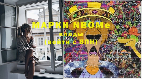винт Няндома