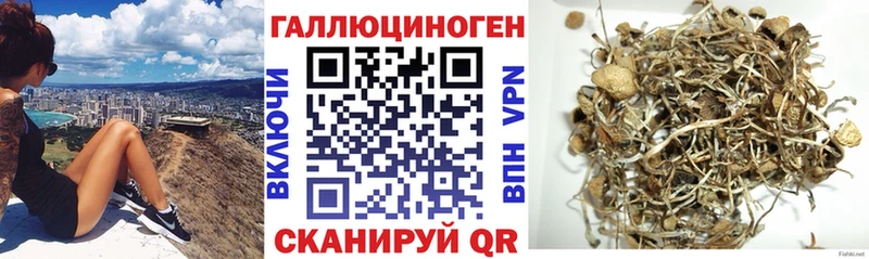 Галлюциногенные грибы Psilocybine cubensis  даркнет какой сайт  Шиханы  продажа наркотиков  кракен зеркало 